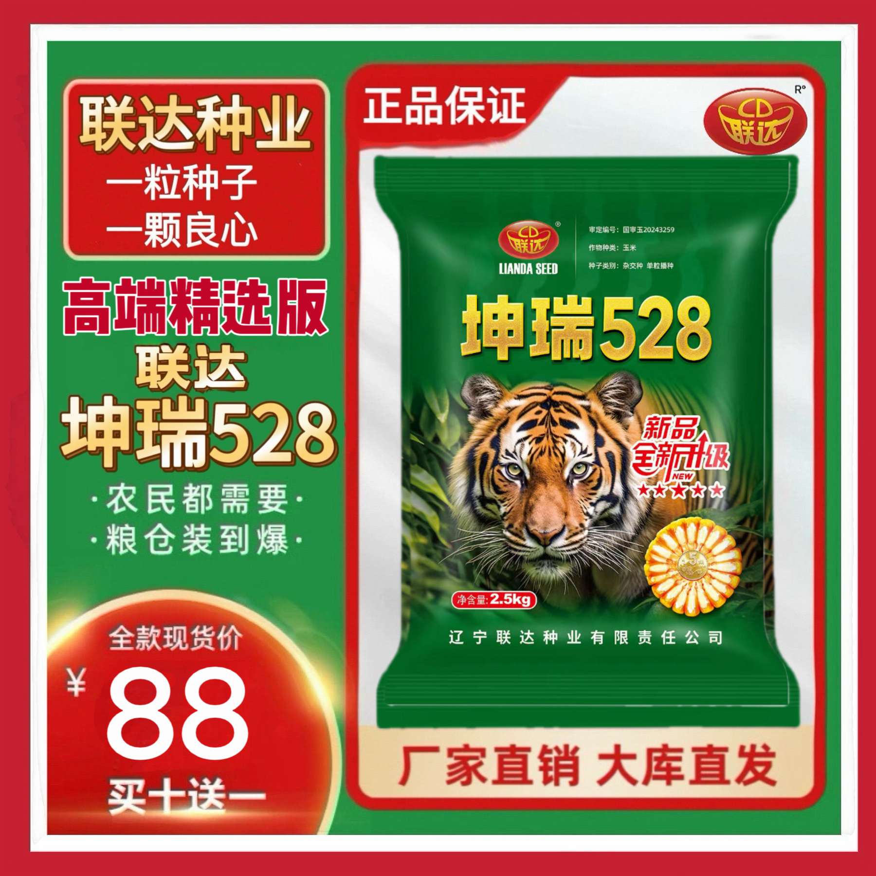 国审联达坤瑞528玉米种铁系高耐旱抗倒伏大粗棒高产（2.5kg5500粒）