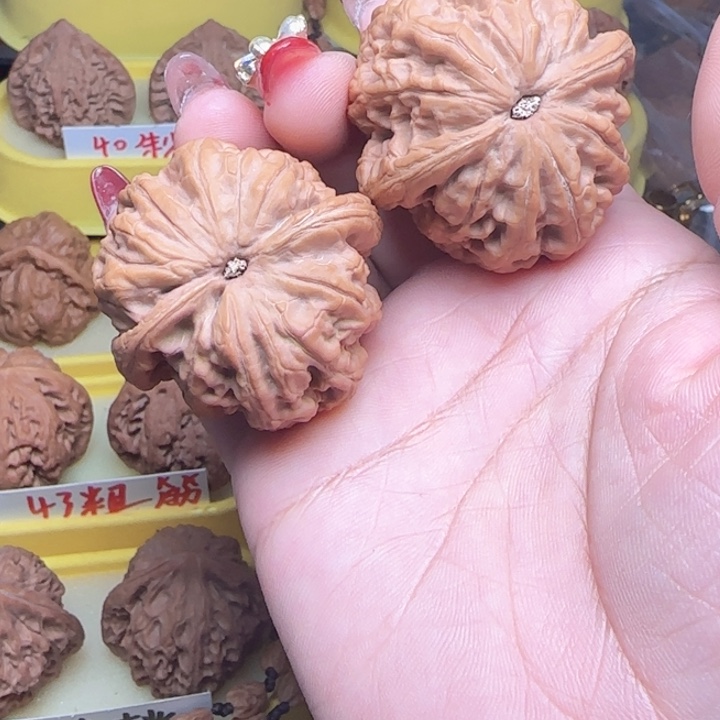 和***馆文玩核桃大抽筋文玩核桃