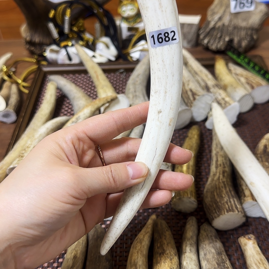 手串/手链鹿骨1682梅花鹿角尖