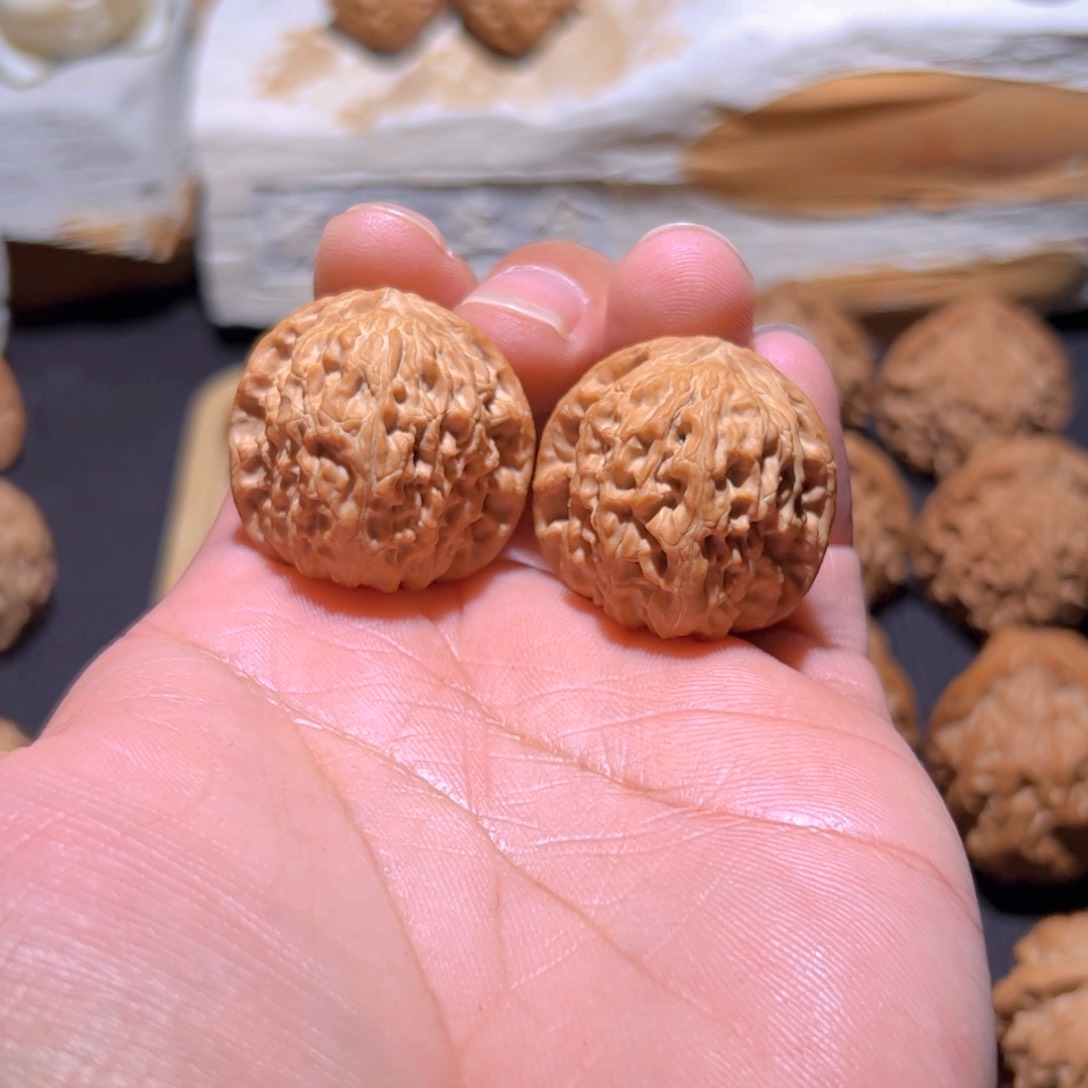 文玩核桃把件?****武白狮子小手捻