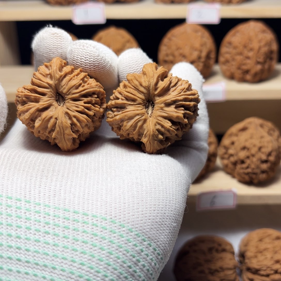 文玩核桃把件涿鹿凹底