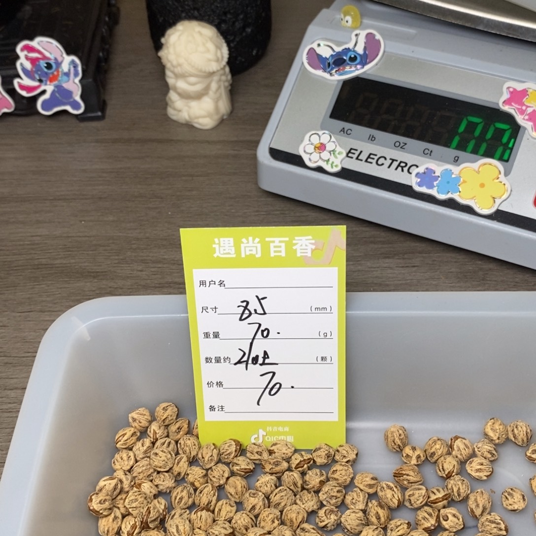 海***东吊坠柏香籽/百香籽