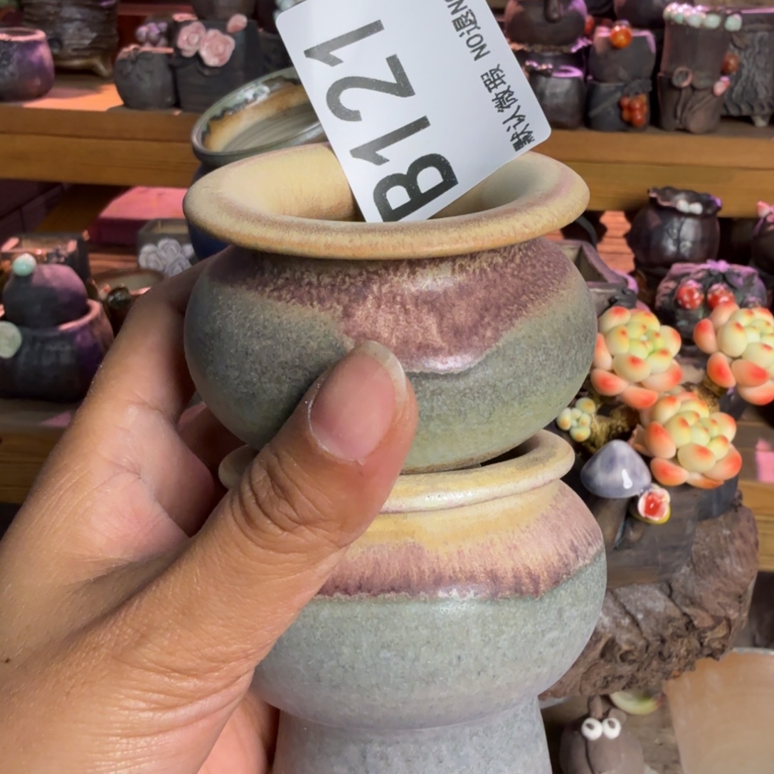 重庆小燕子欢迎大家121