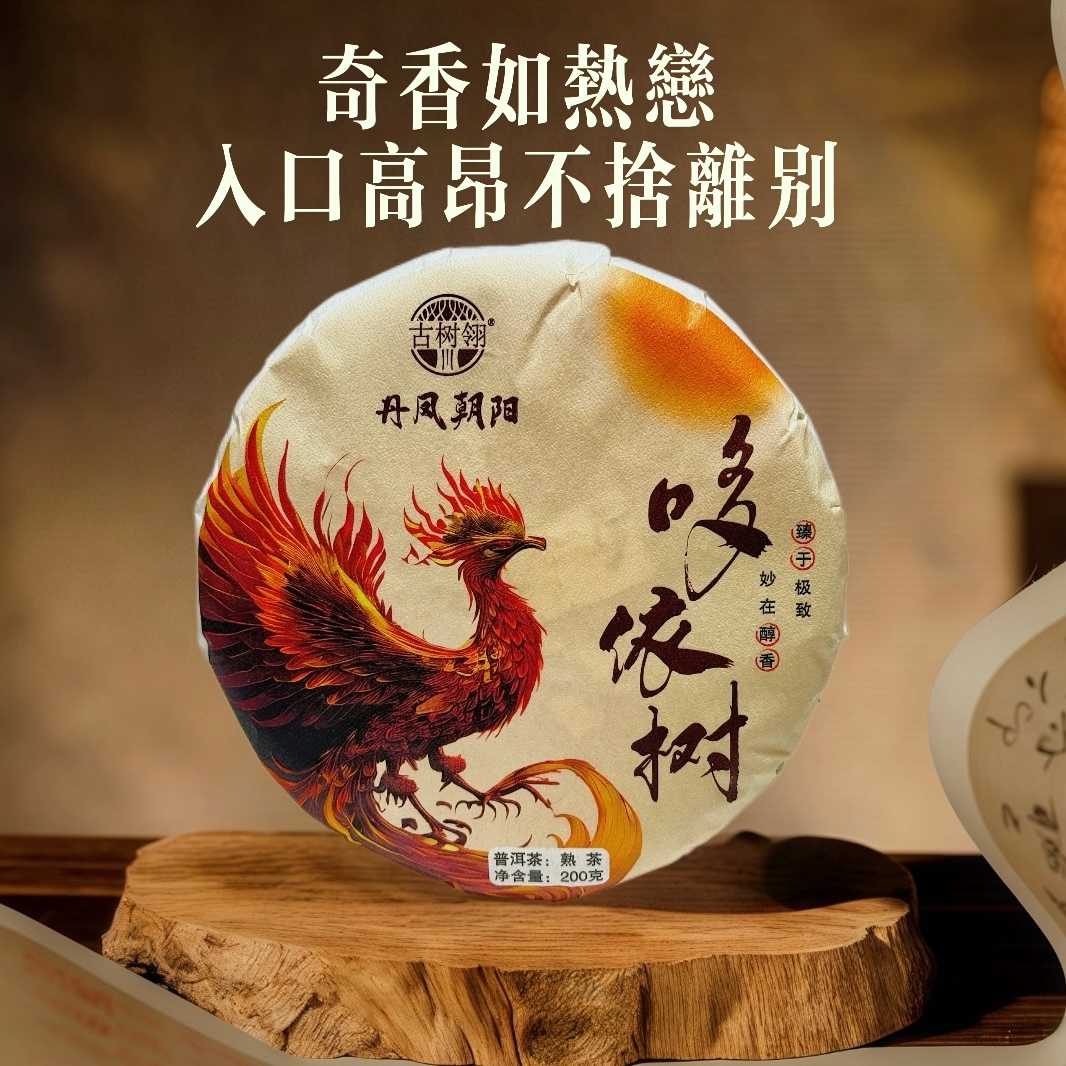 古树翎【哆依树熟茶】易武第一高杆·秘境茶王·醇厚花果蜜甜香无敌手