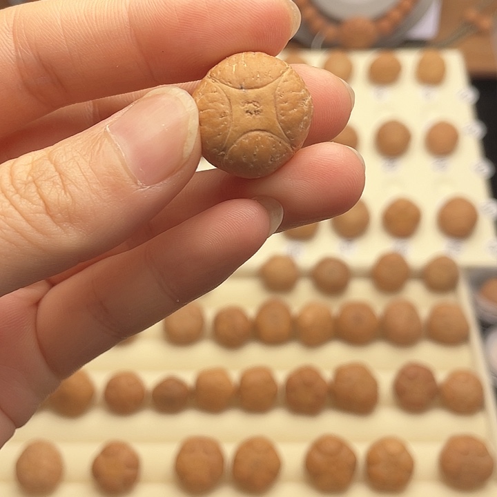 吊坠凤眼菩提四星