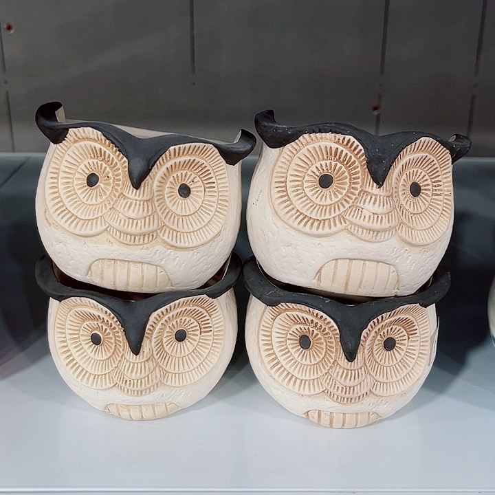 多肉花盆满10元包邮