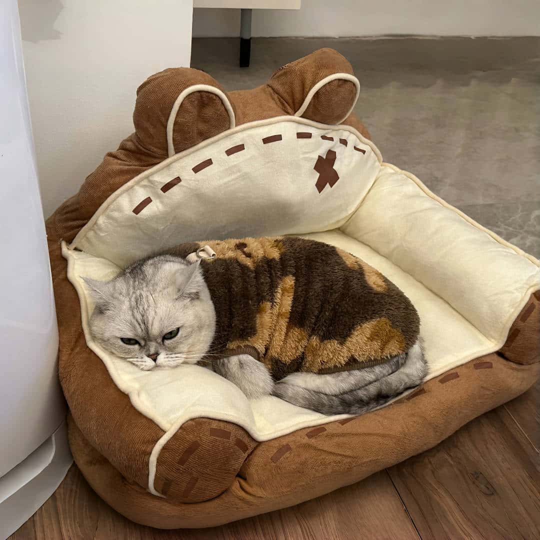 小猫咪衣服秋冬保暖可牵引金渐层布偶蓝猫防掉毛宠物狗狗保暖马甲