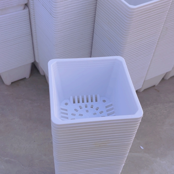 树脂120白方口11高8一组30ge