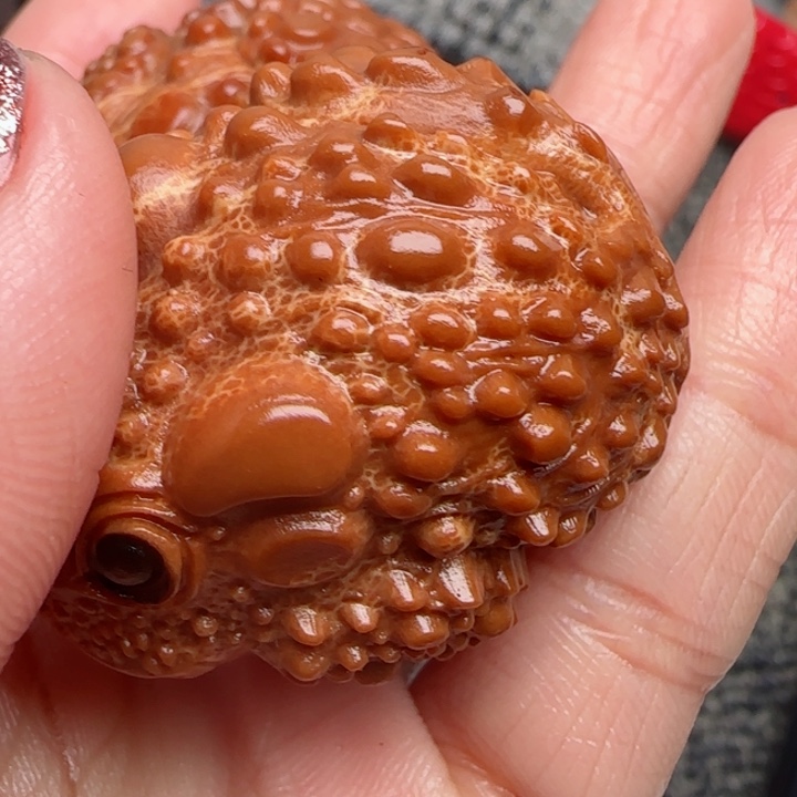 橄榄核吊坠橄榄菜等经济作物