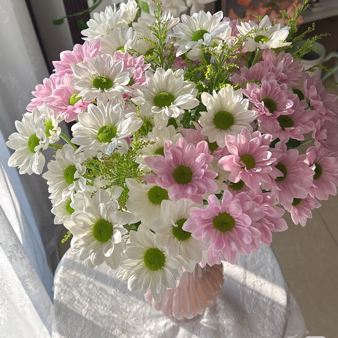 【三文鱼多头小雏菊】任意两单顺丰包邮，0度以下必拍保温棉！