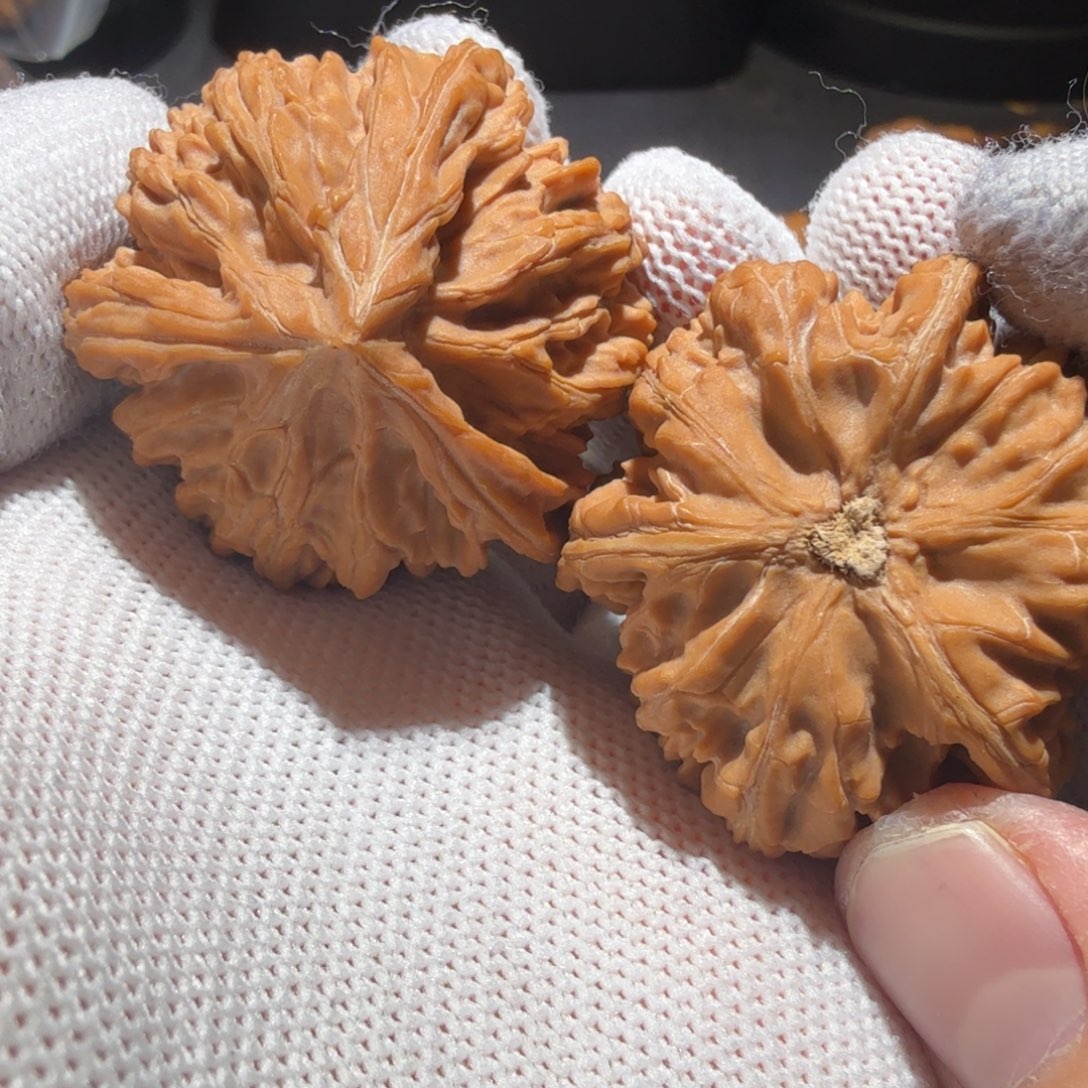 文玩核桃把件御龙正奔