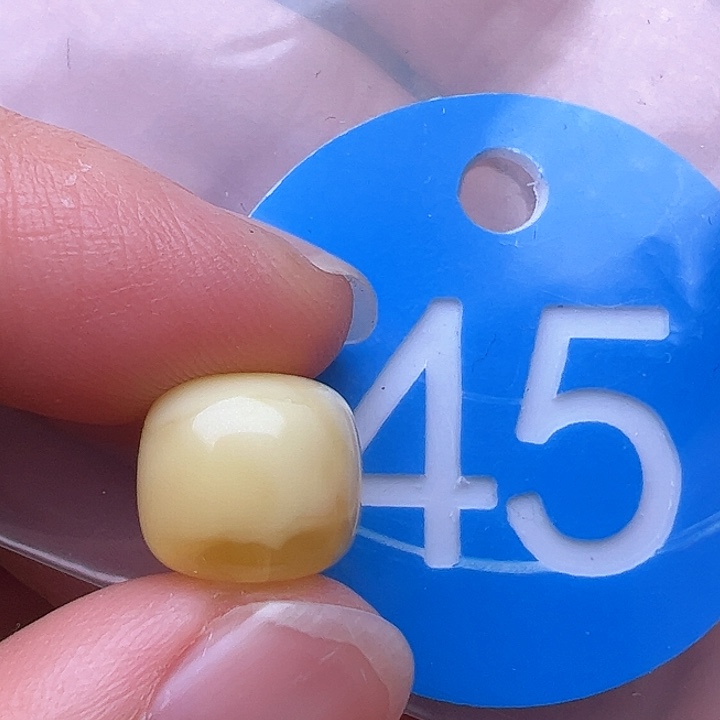 蜜蜡裸石未镶嵌花粉11m m