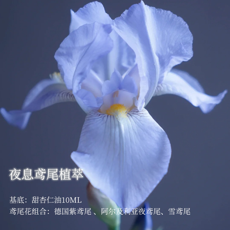 5ml 夜息鸢尾植萃合方精油
