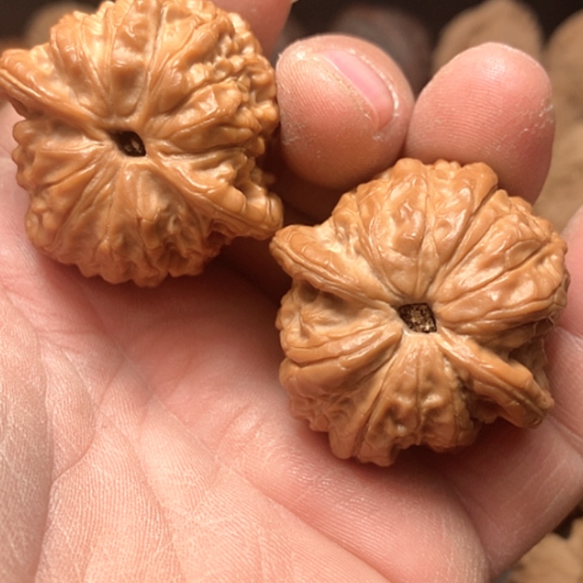 【闪购商品】研***丶血麒麟