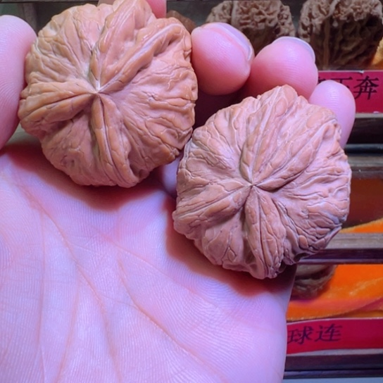 孤品龙首全品平谷元宝