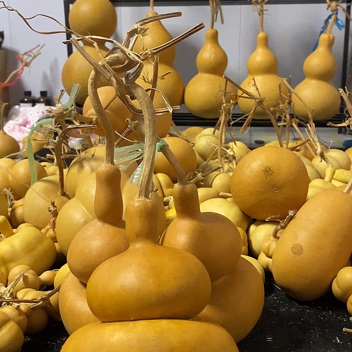 葫芦的颜色是蓝色的