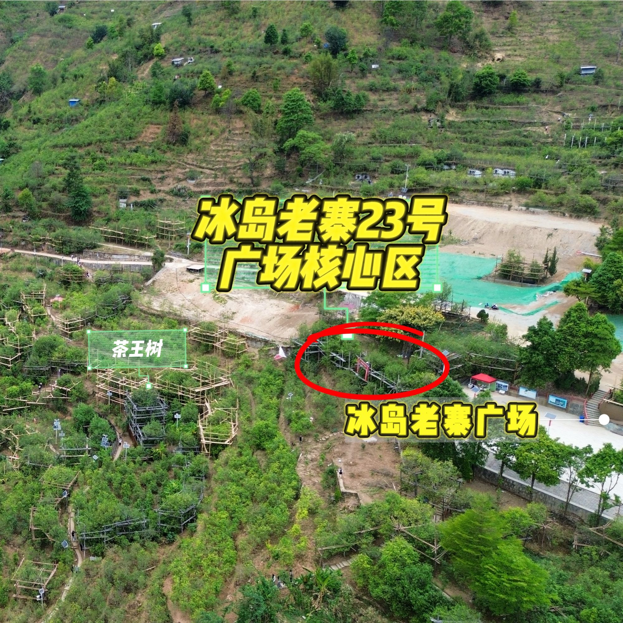 罐子微瑕2025年春冰岛老寨广场边核心区普洱生茶/冰糖甜（50克）