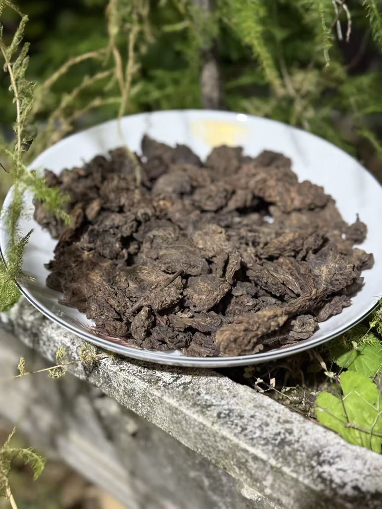 【自家珍藏】茶头熟茶陈香耐泡滋味醇厚优质口粮茶