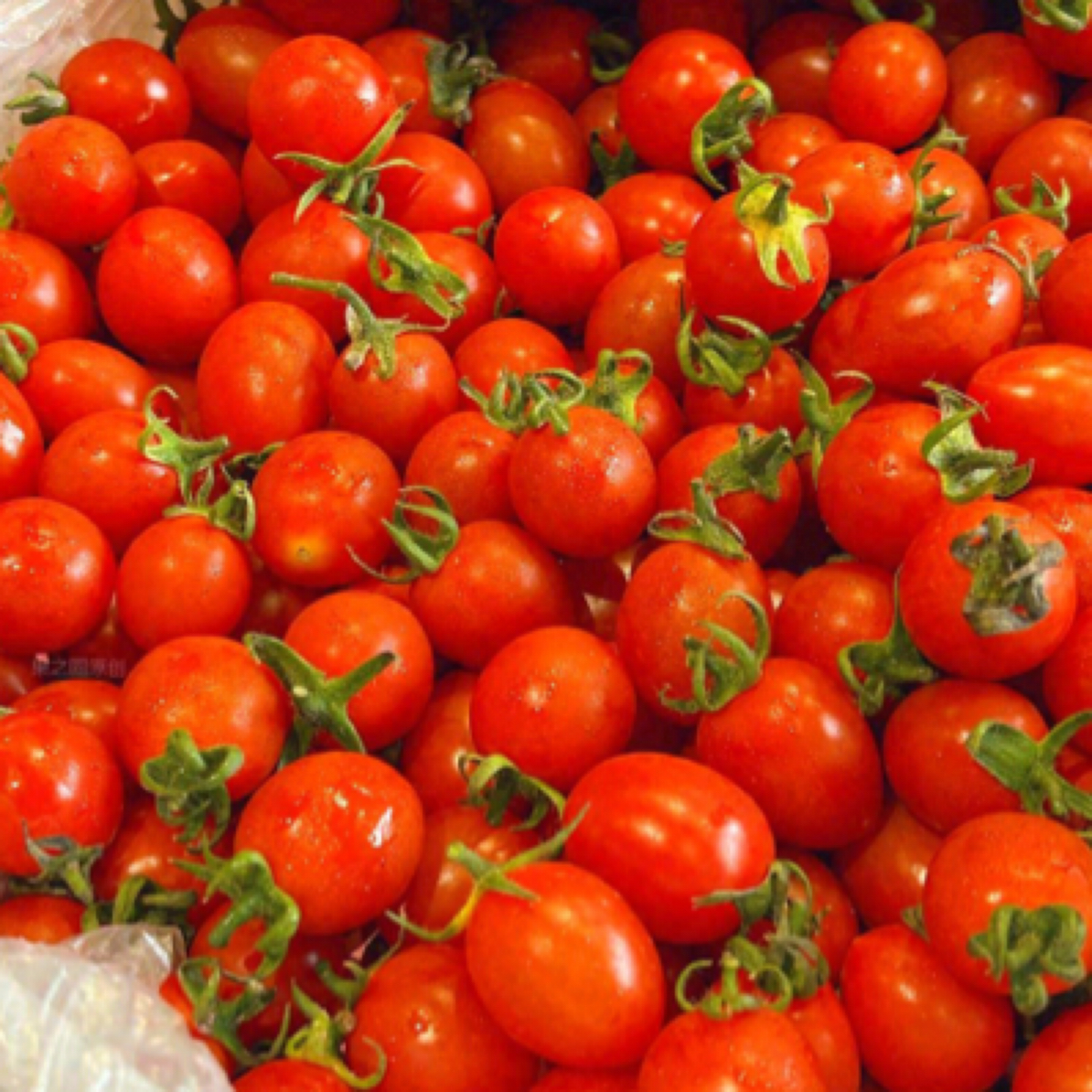 樱桃千禧一斤（一盒）千禧圣女果海南省