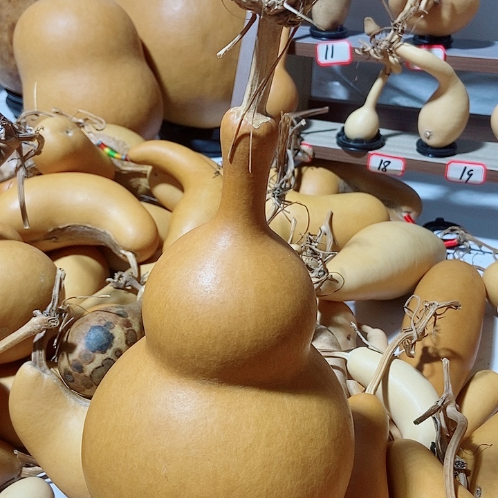 北****直播间里的拍品啊链接