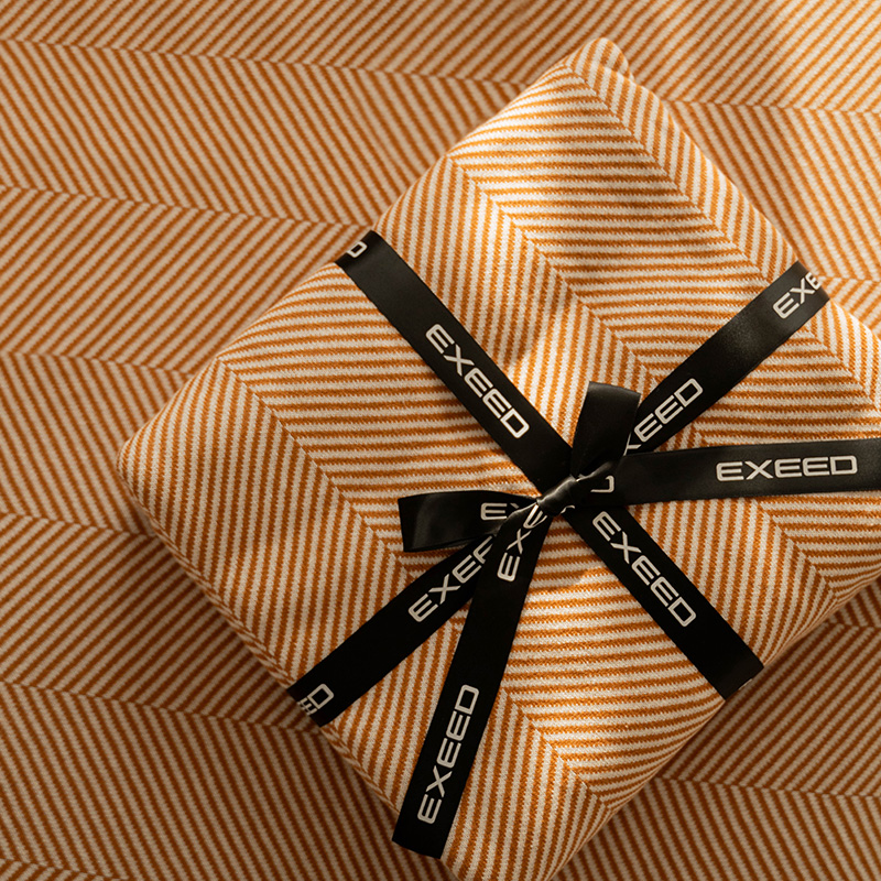 EXEED/星途【星享生活家】星途柔肤针织盖毯