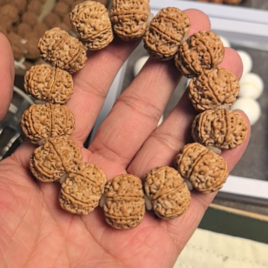 金刚菩提手串七瓣大金刚手串，21左右尺寸，原皮原色的