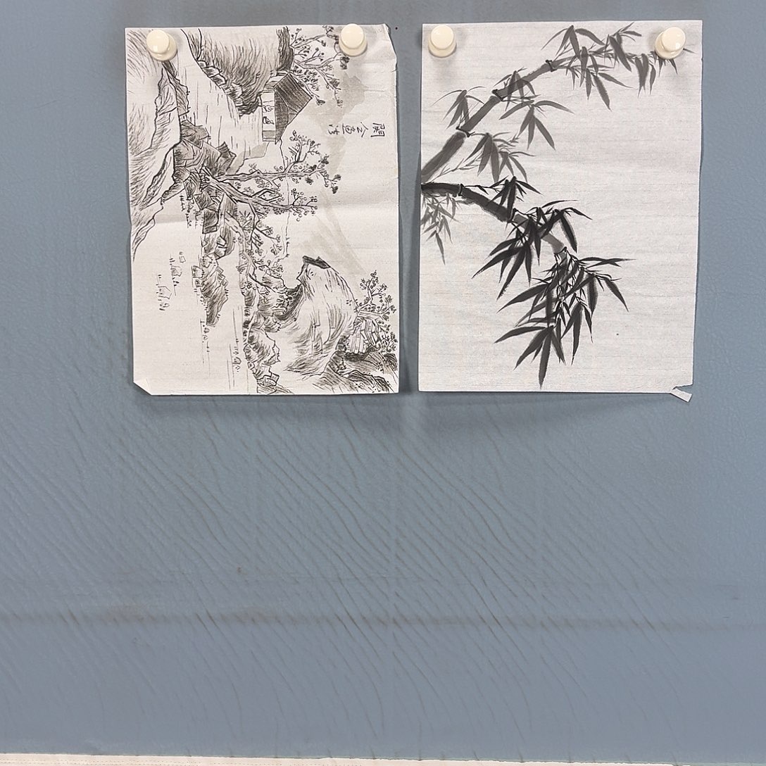 国画242 牡丹一如您初来乍到