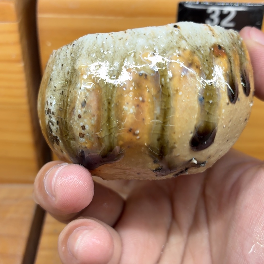 陶园柴烧，精品高货26