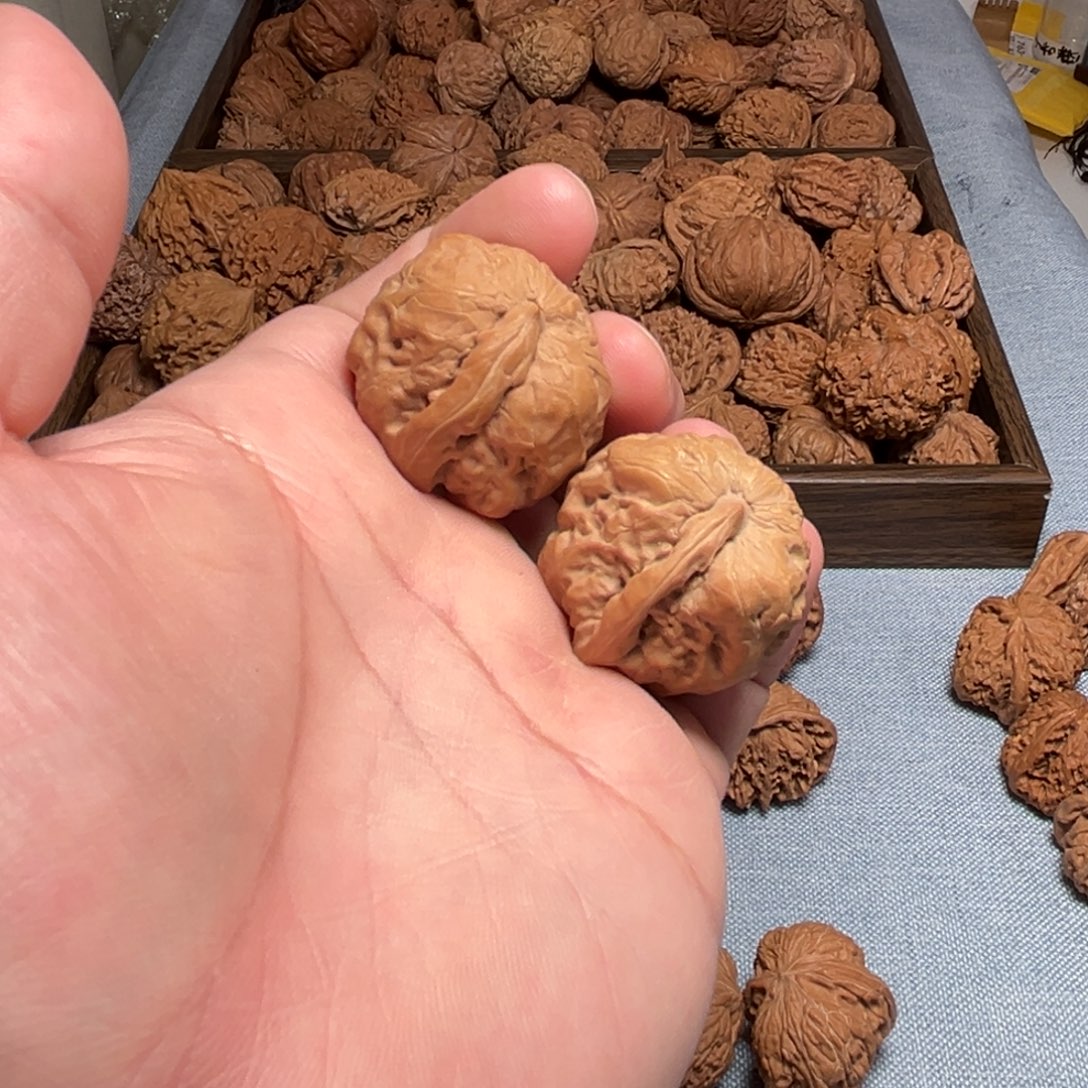 园***哥核桃核桃核桃核桃