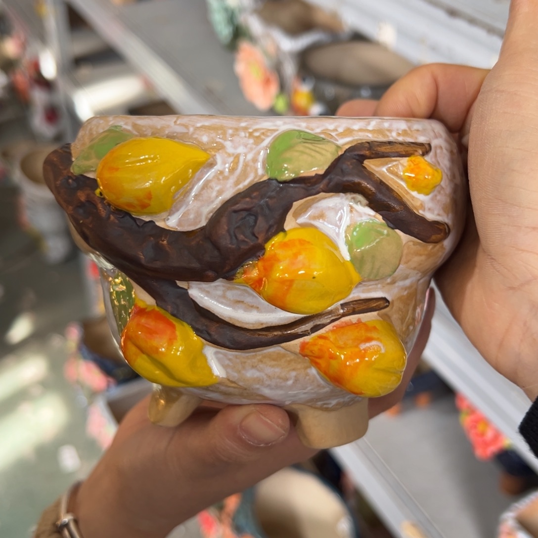 花盆，拍满20发货，退款拉黑