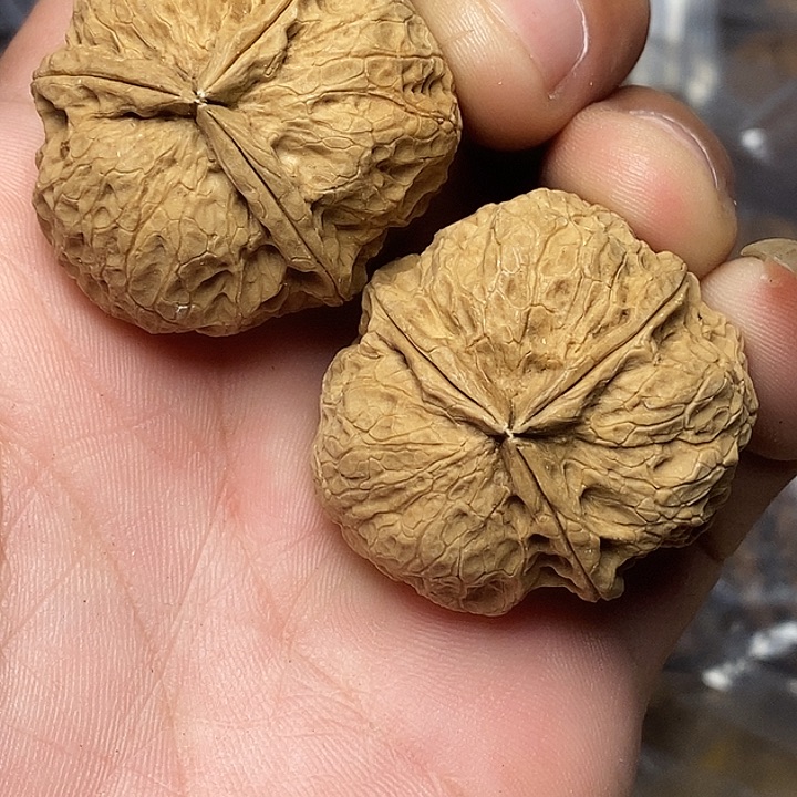 文玩核桃把件志成云铁文玩31