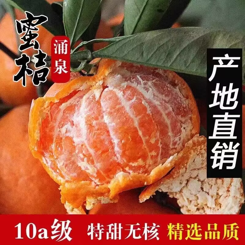 正宗浙江临海高山涌泉蜜桔当季新鲜水果孕妇无打蜡宫川无核薄皮橘