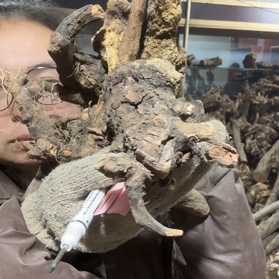 香榧木夜***央火琉璃的故事要料摆件