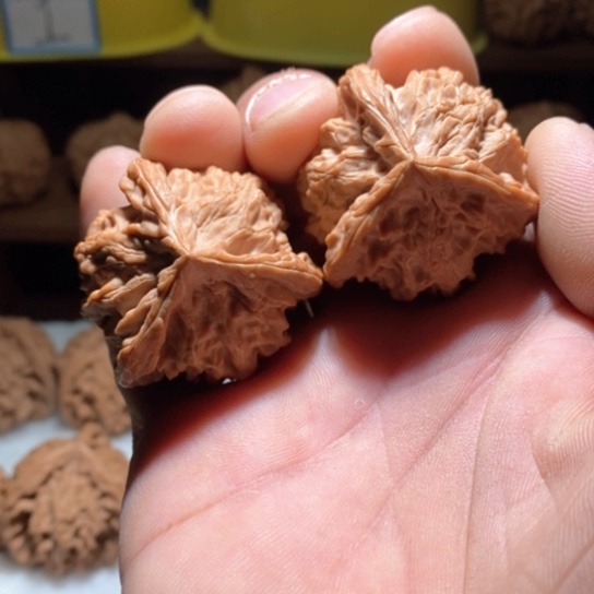 文玩核桃吊坠39盘山三棱