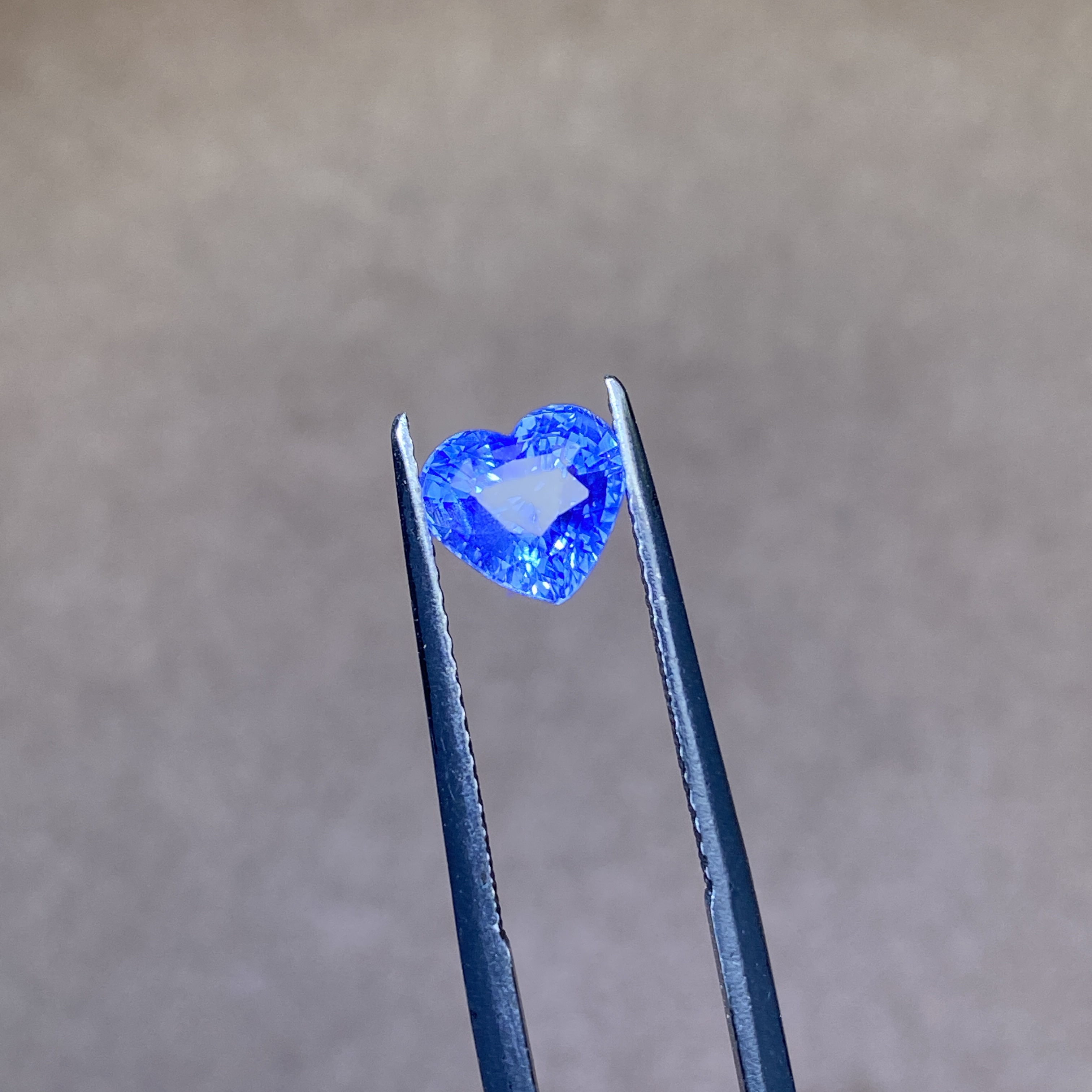 24G065 有烧矢车菊蓝蓝宝石 2.03克拉