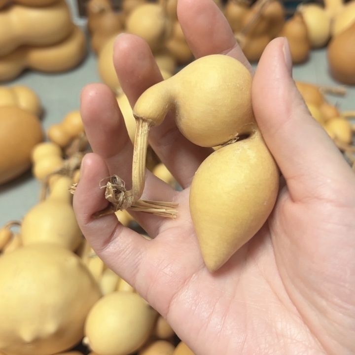 *****福满葫芦葫芦葫芦