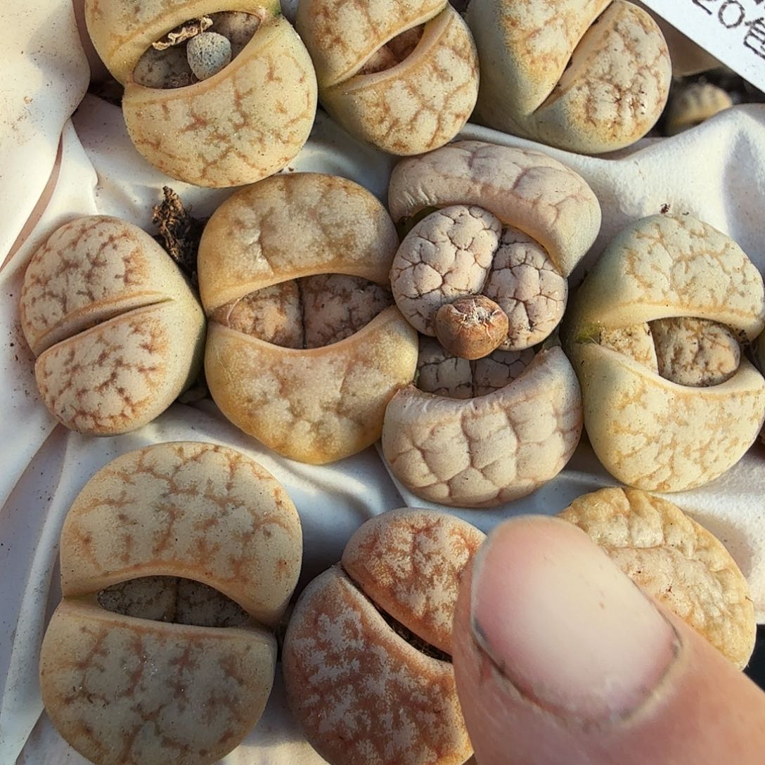 是一个不想被爱013不