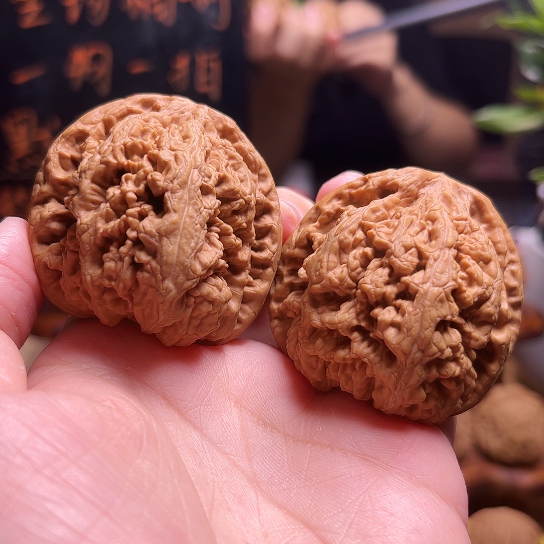 菩提45尺寸粗筋闪1
