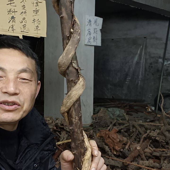稳定木自***柴贵州檬子木   铁马鞭   根艺  半成品