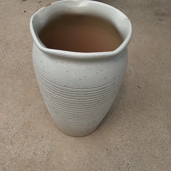 20/31正品正品的