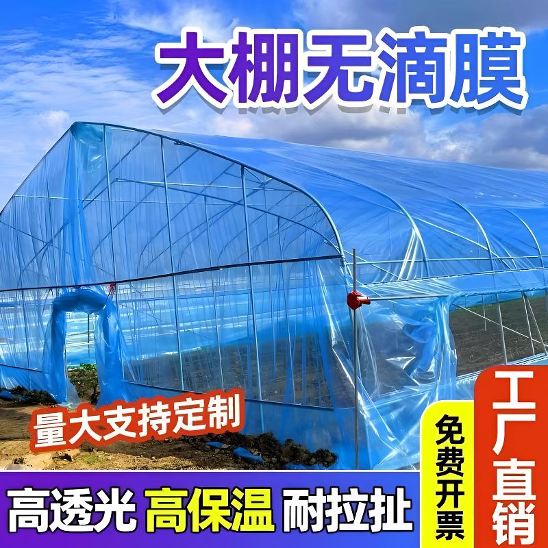 （国标正品）无滴大棚蓝膜塑料布薄膜农用po加厚蔬菜保温室透明养殖
