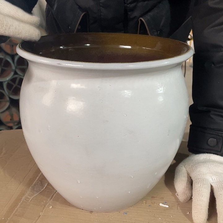 红陶正品24/24一个