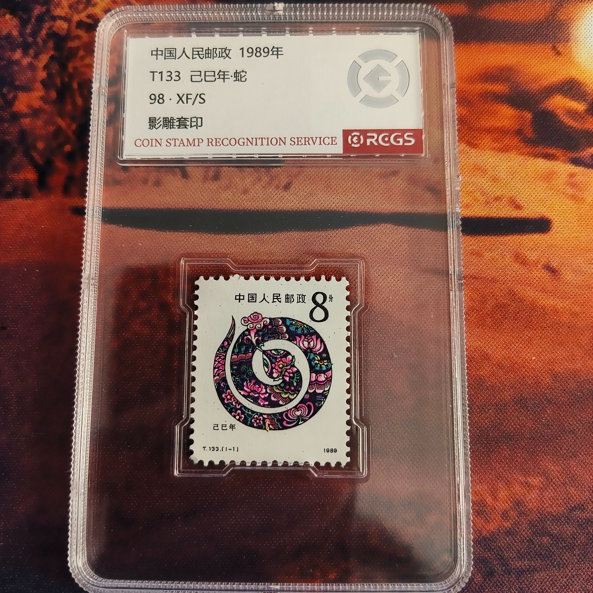 T133一轮蛇中钱国信98分