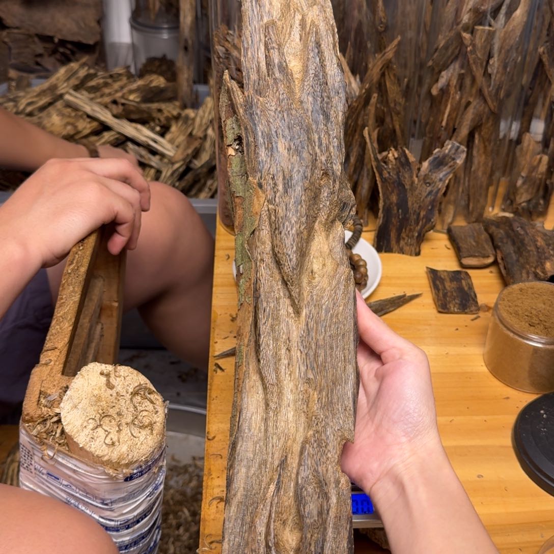 沉香碎屑沉香红骨凹身块料415克