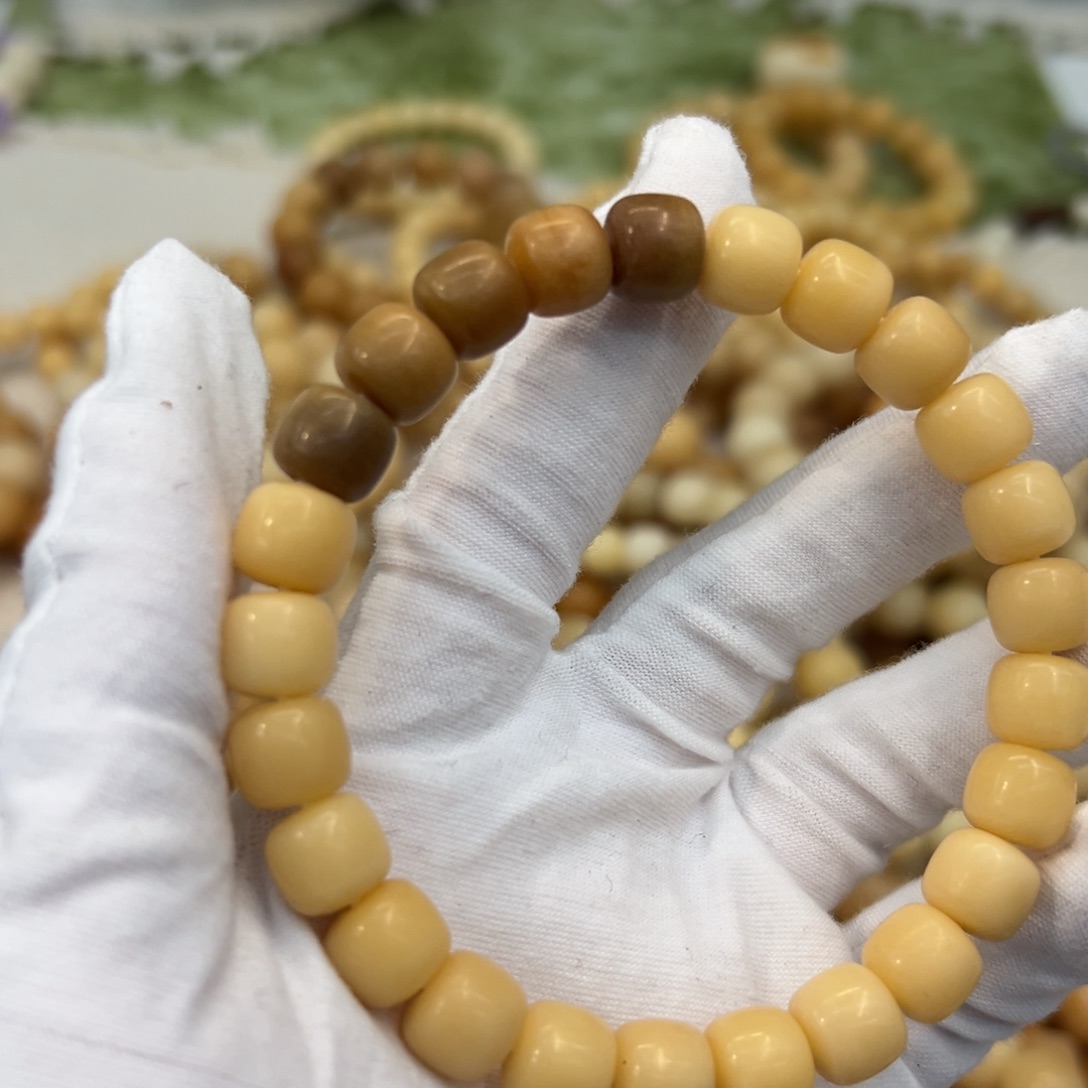 不***名吊坠菩提根/象牙果10树王257