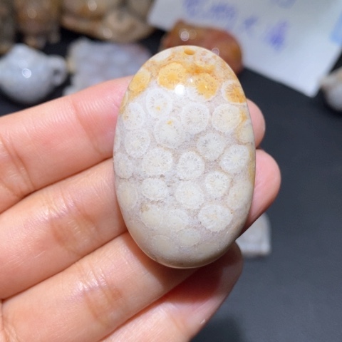 【闪购商品】硅化玉吊坠(不含链)未镶嵌