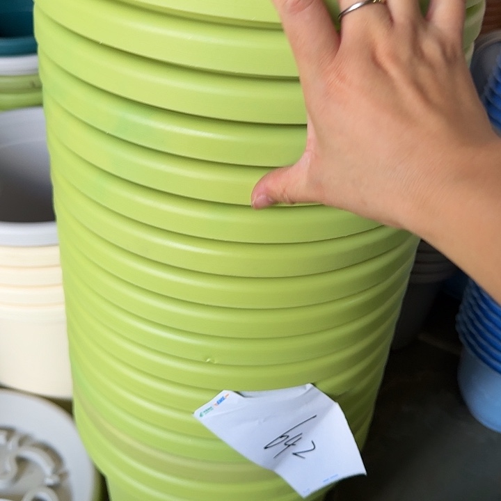 编号642串色6个无托