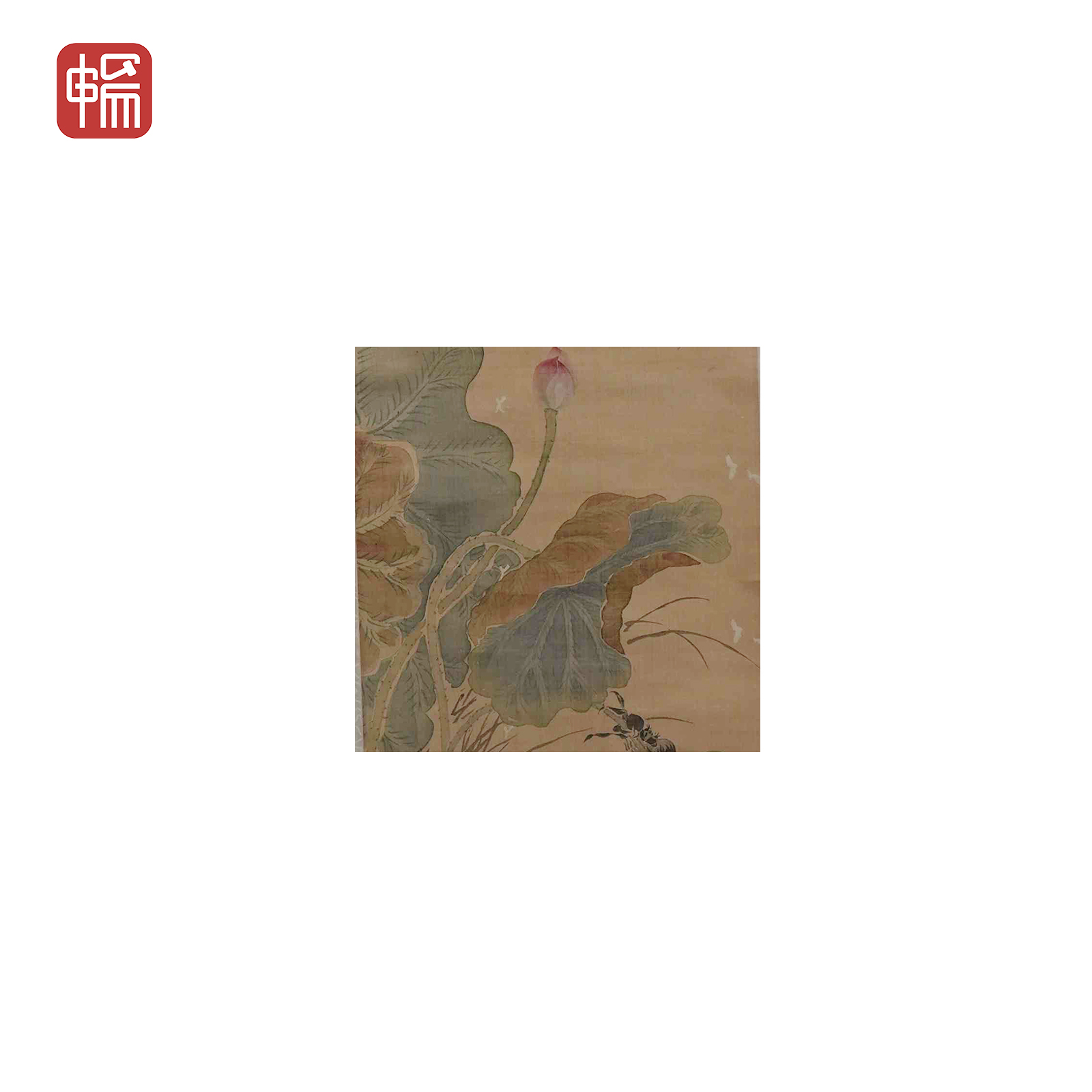 P185 荷花  94*28(2.37) 纸本立轴MZ