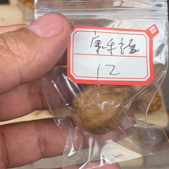 橄榄核手串/手链康*福12橄榄雕刻