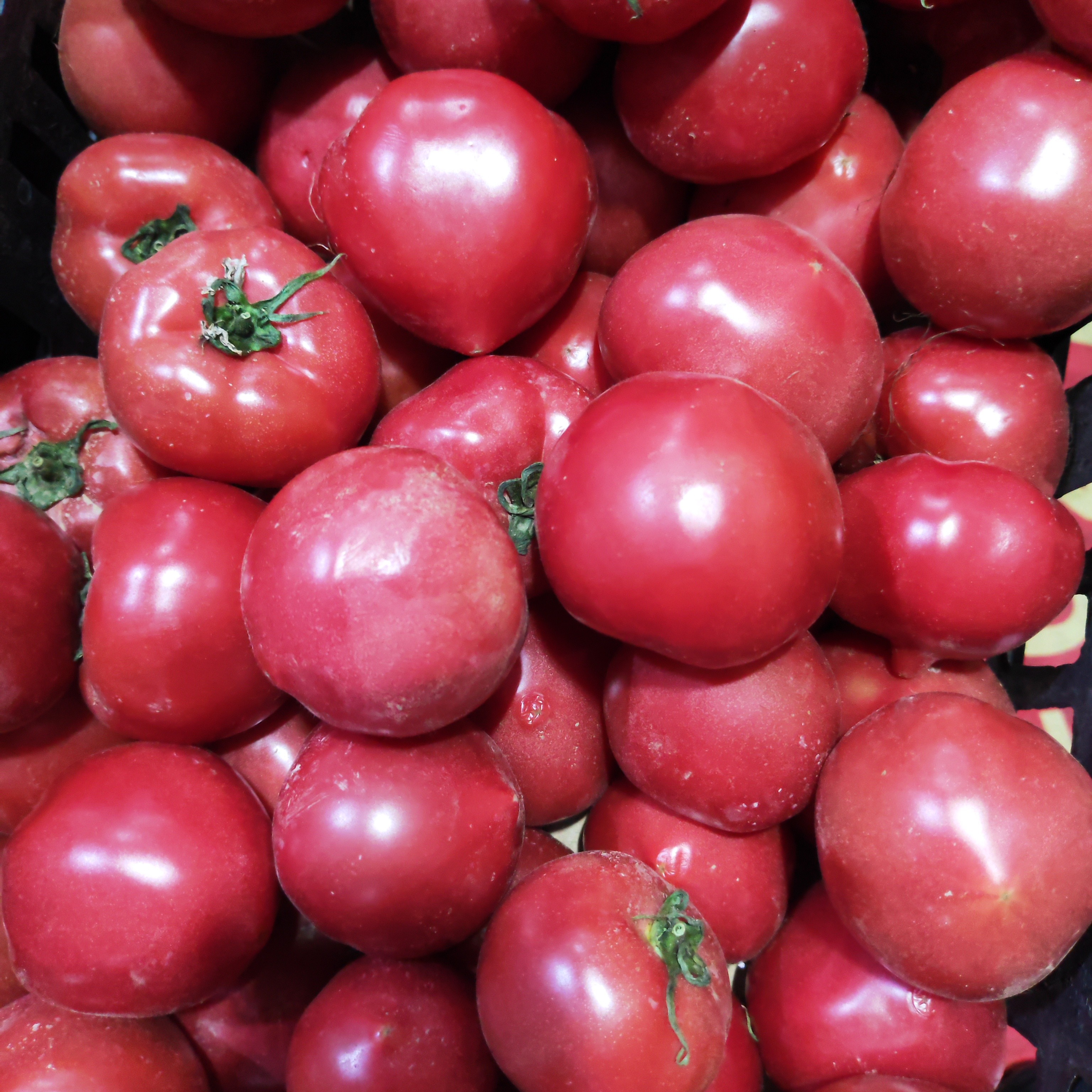 草莓精品西红柿9.9元2斤